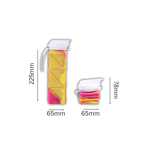 Sport Foldable Water Bottle - Fruits