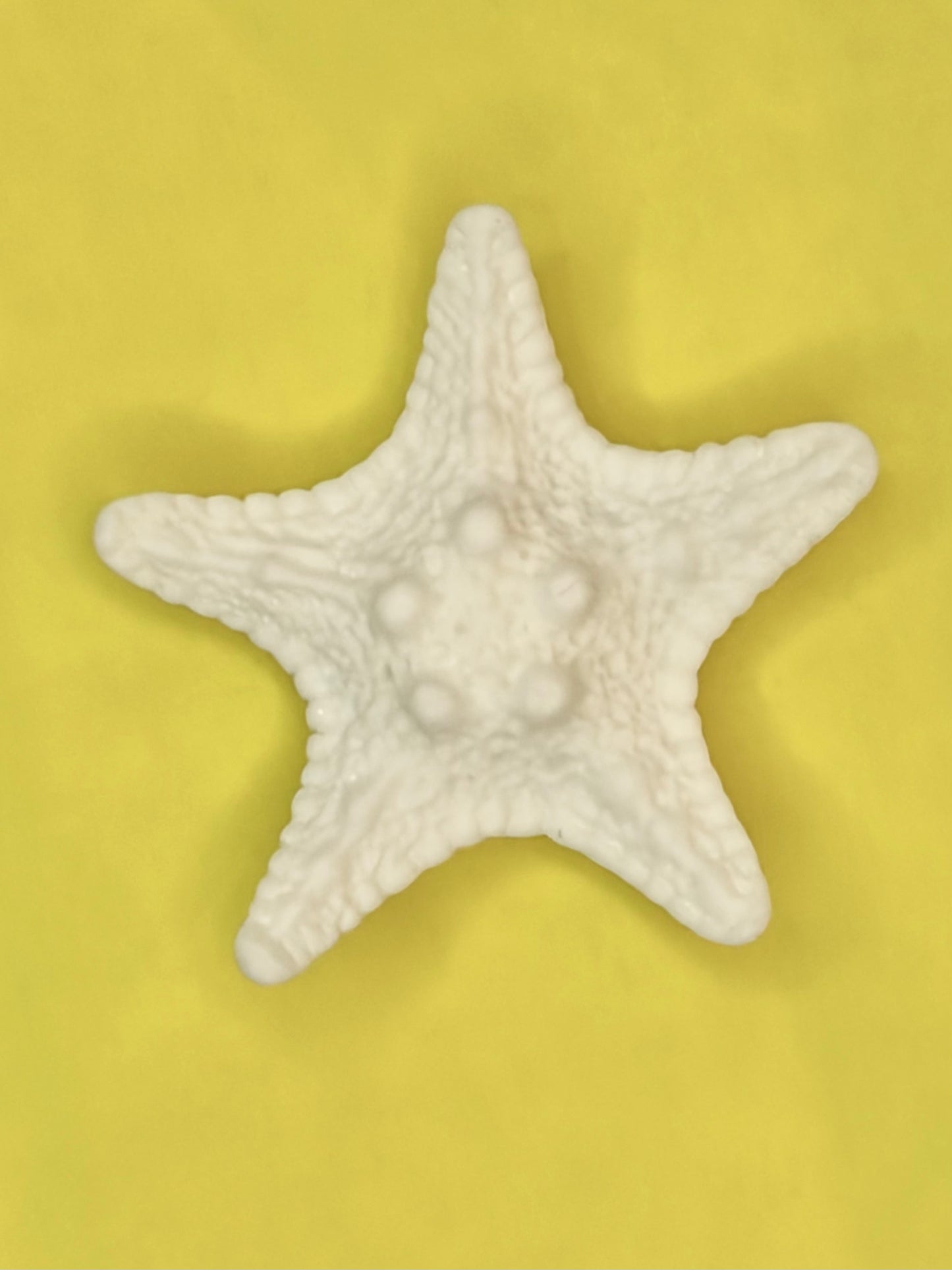 Starfish white, Acrylic