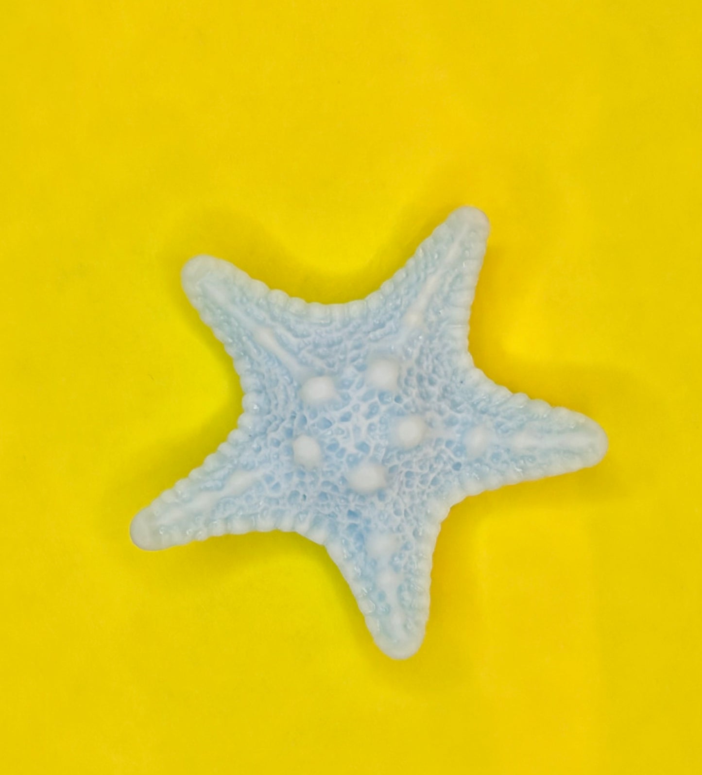 Starfish blue, Acrylic